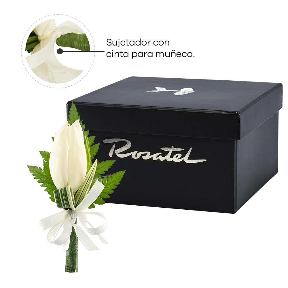 Corsage con Tulipán Blanco