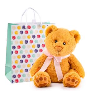 hugo-mediano-lazo-rosado-rosatel-en-bolsa-circulos-de-colores