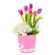 sombrerera-rosada-mediana-con-6-tulipanes-fucsia-hortensia-y-flores