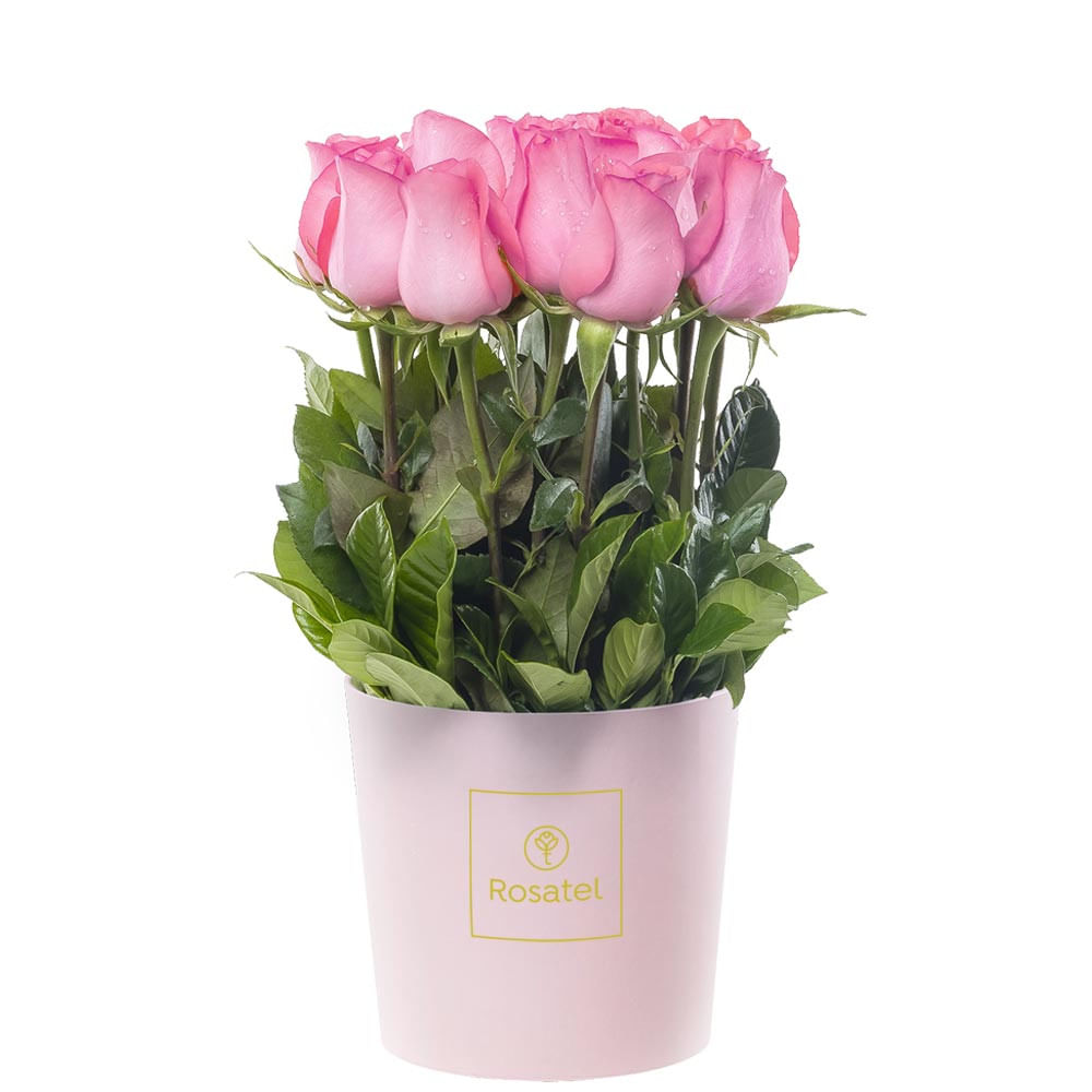 Sombrerera Rosada Mediana con 15 Rosas