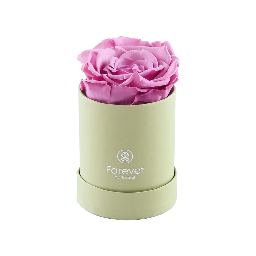 Mini Sombrerera Verde Forever con Rosa Preservada