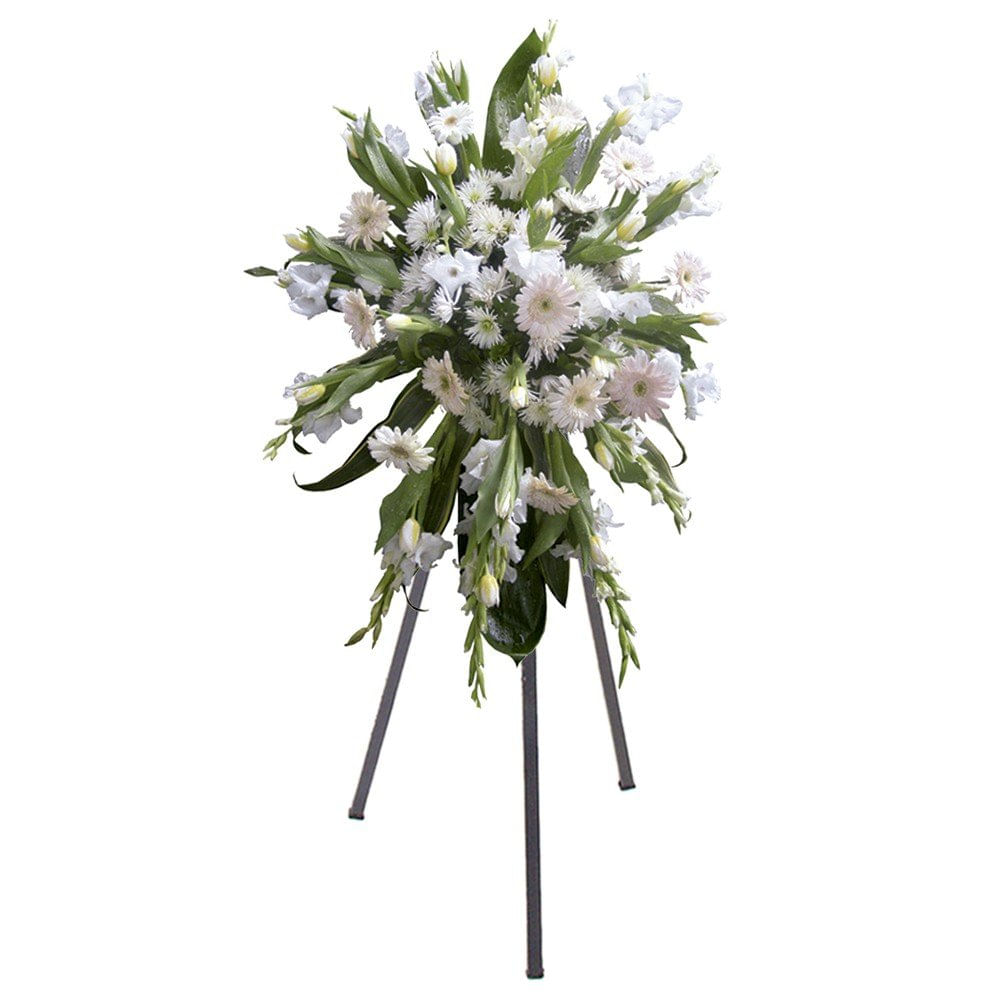 Lágrima con Trípode 18 Tulipanes