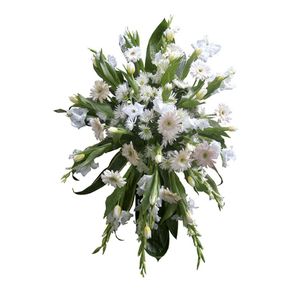 lagrima-sin-tripode-con-18-tulipanes-blancos