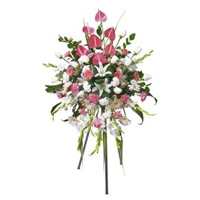 lagrima-con-tripode-con-12-rosas-crema-y-anturios