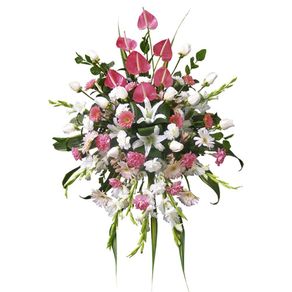 lagrima-sin-tripode-con-12-rosas-crema-y-anturios