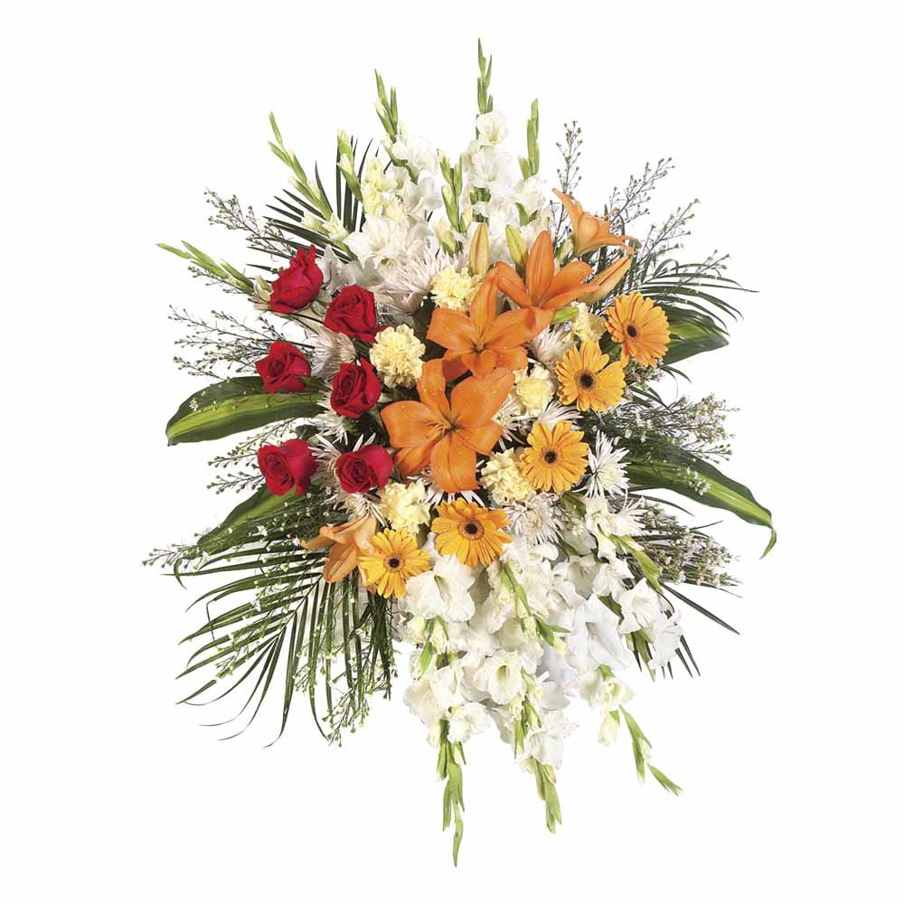 Lágrima Sin Trípode Rosas y Flores