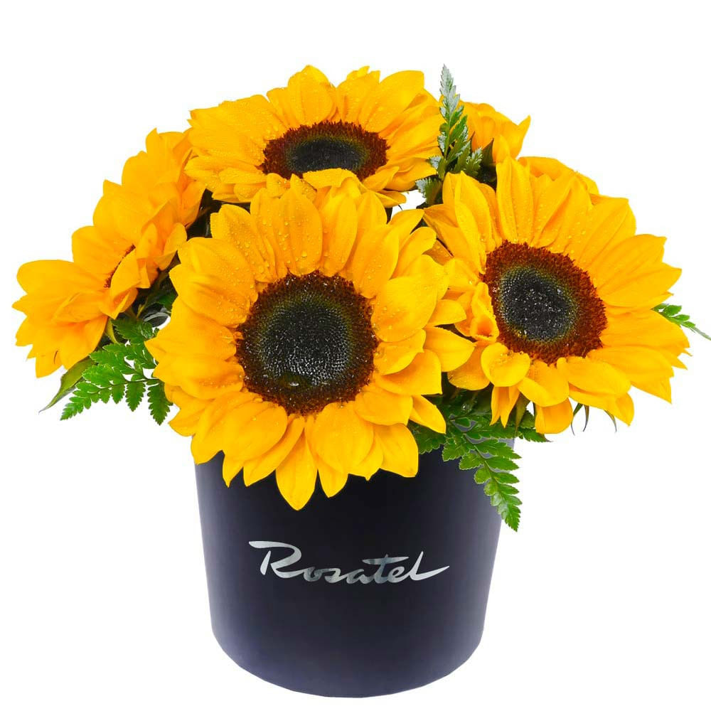 Sombrerera Negra Mediana con Girasoles