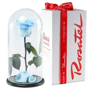 rosa-encantada-celeste