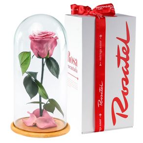 rosa-encantada-violeta