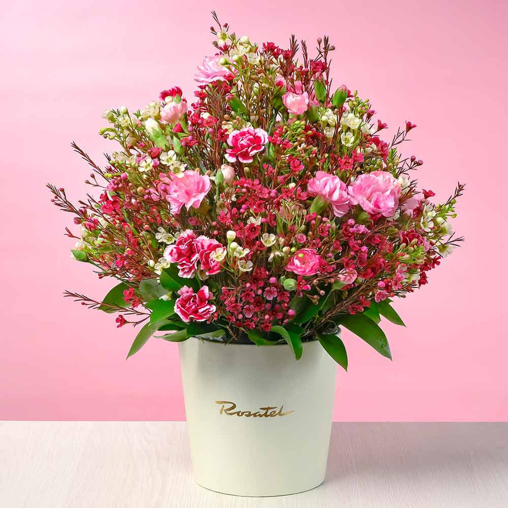 Sombrerera Crema Mediana Ternura de Clavelinos y Flores