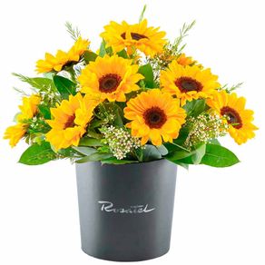 sombrerera-negra-grande-alegria-de-girasoles