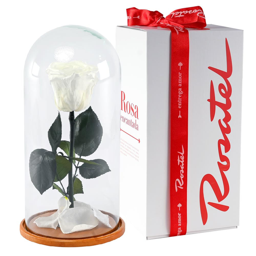 Rosa Encantada Blanca