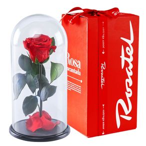 rosa-encantada-en-caja-roja