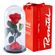 rosa-encantada-en-caja-roja