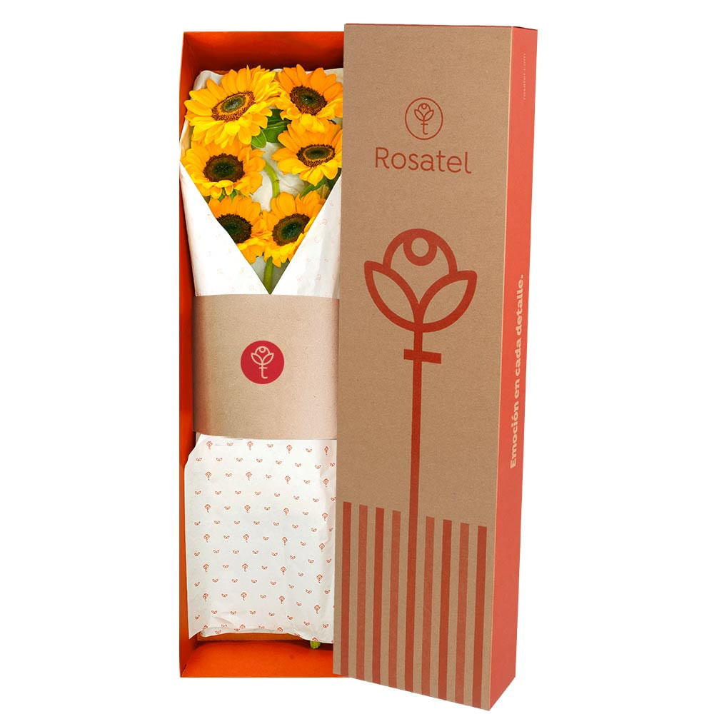 Caja Natural con 6 Girasoles