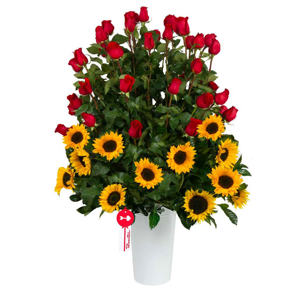 Arreglo Armonía Rosas y Girasoles