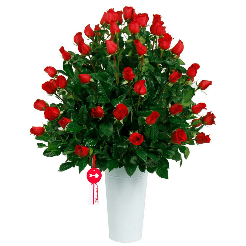 Arreglo con 75 Rosas Rojas