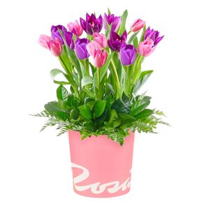 sombrerera-rosada-grande-con-16-tulipanes