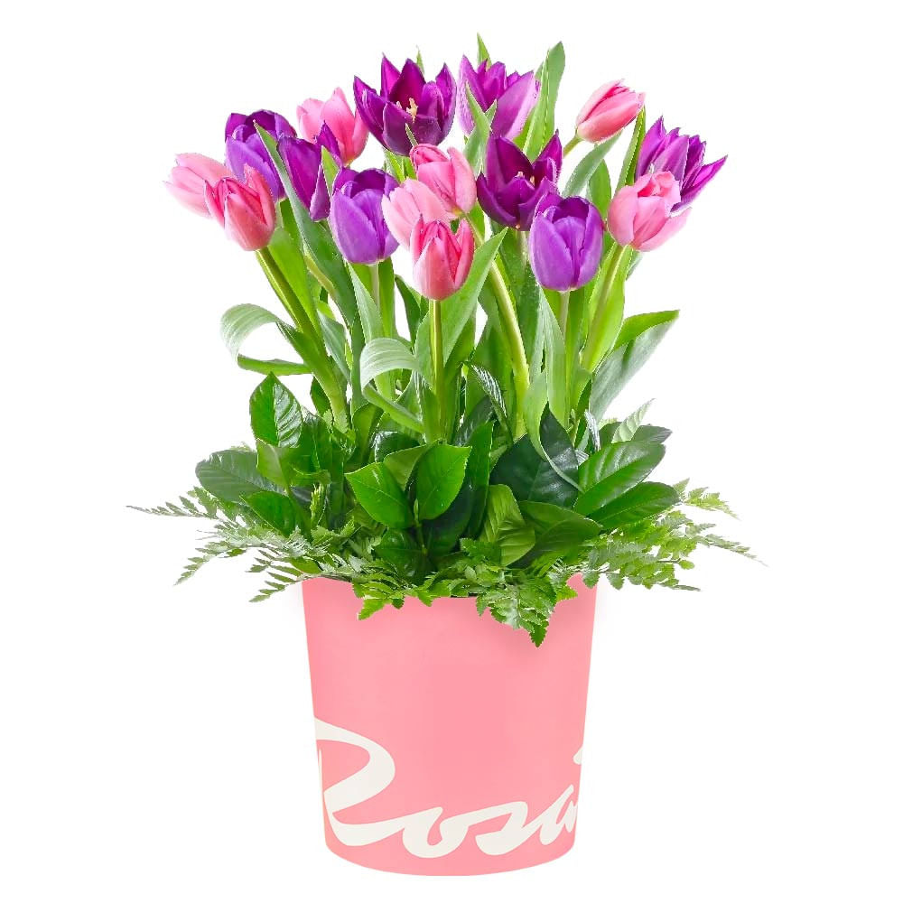 Sombrerera Rosada Grande con 16 Tulipanes