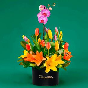 arreglo-diana-fucsia