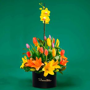 arreglo-diana-amarillo