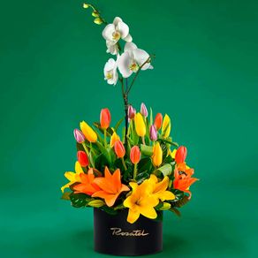 arreglo-diana-blanco