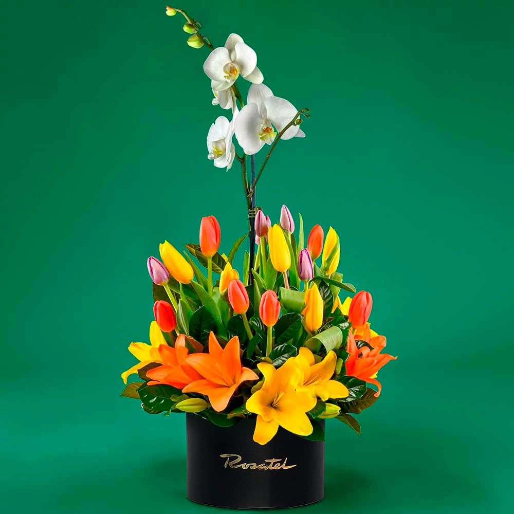 Arreglo Diana Blanco