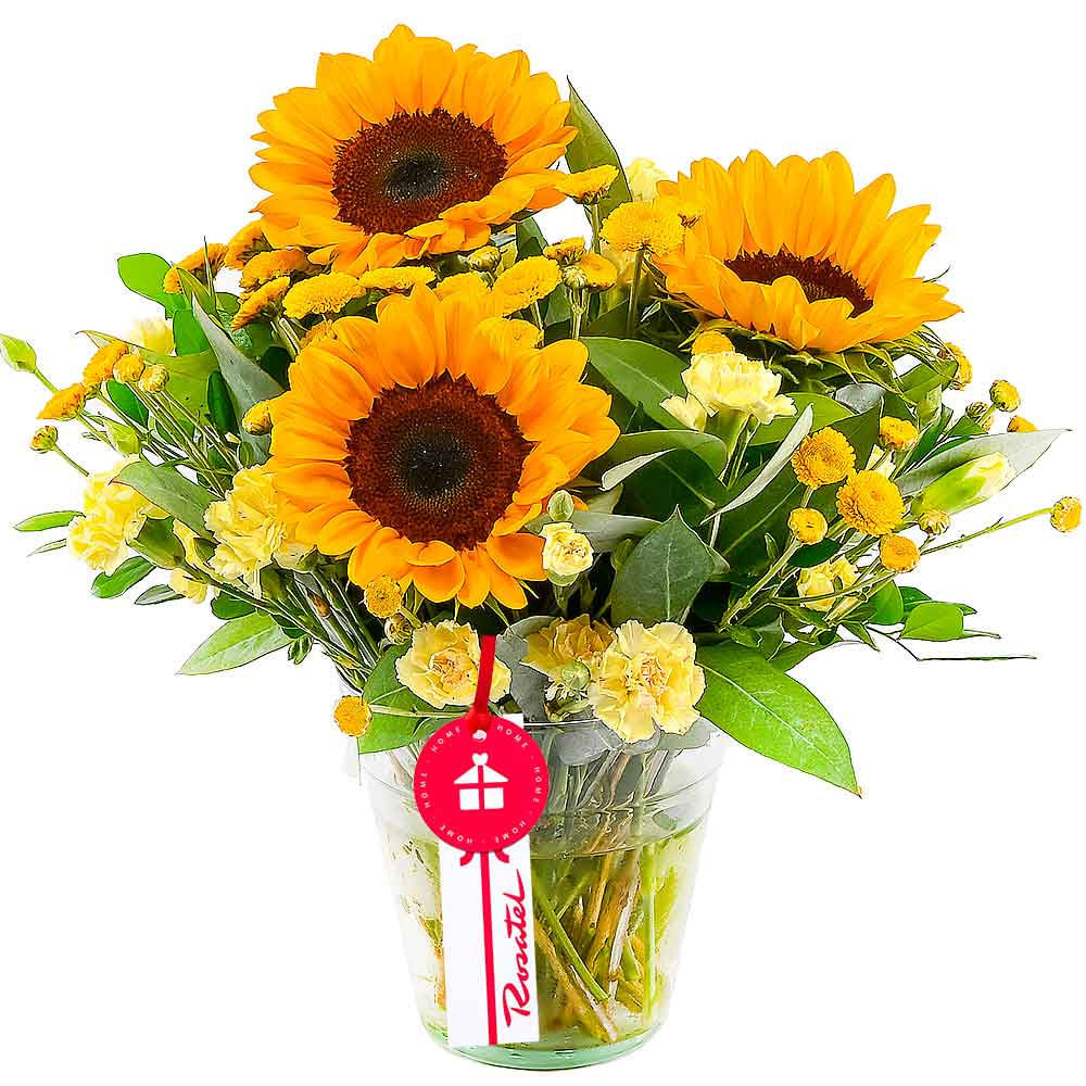 Arreglo Resplandor de Girasoles