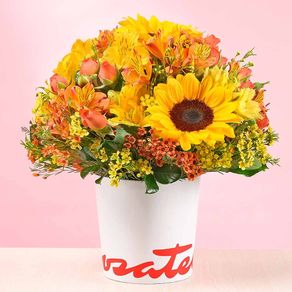 sombrerera-alegria-primaveral