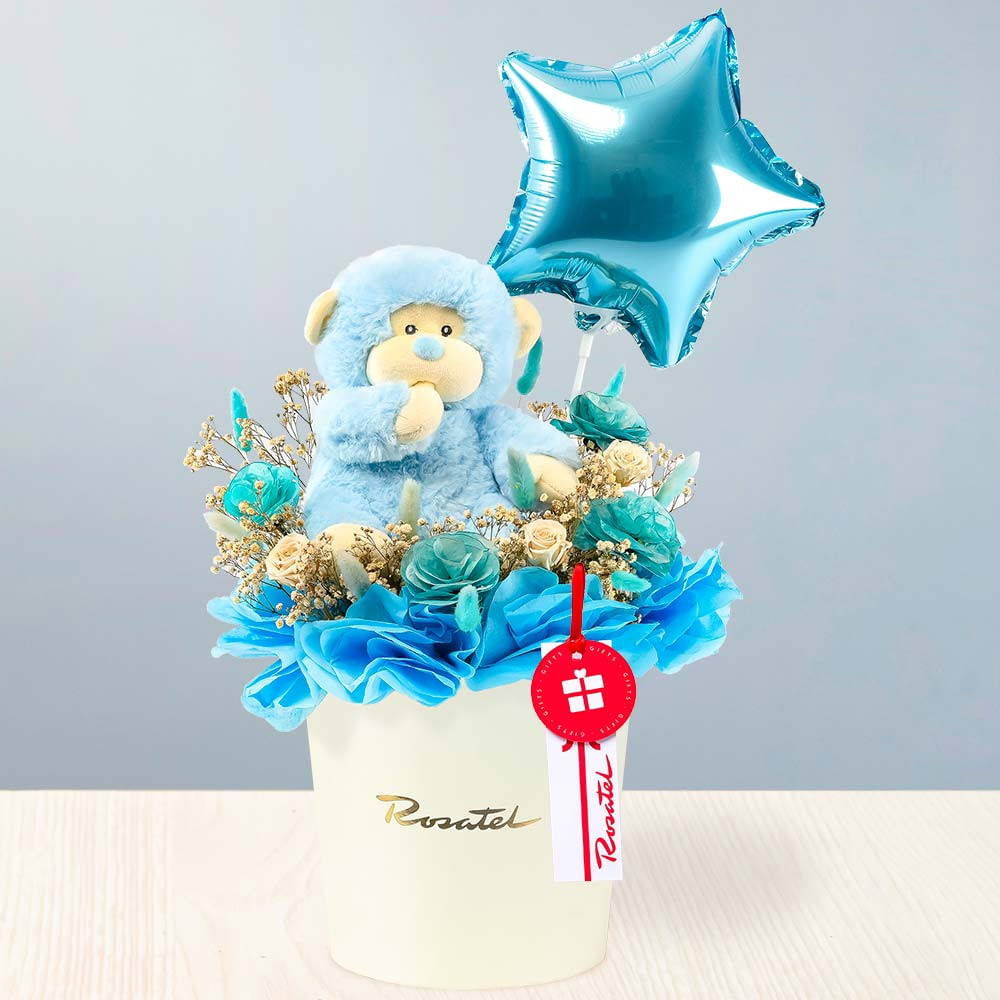 Arreglo Bebé Monito Celeste