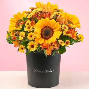 sombrerera-encanto-de-girasoles