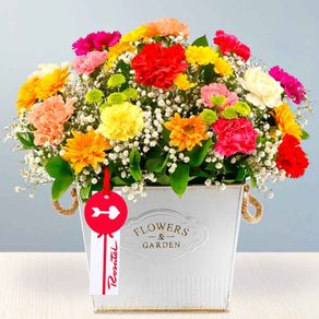 arreglo-clavelinos-multicolor