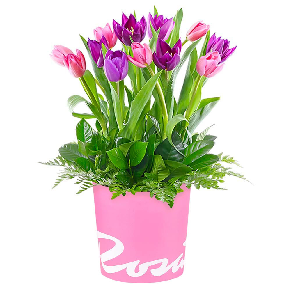 Sombrerera Rosada Mediana con 12 Tulipanes