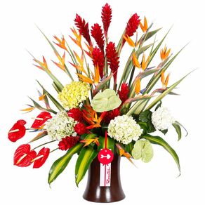 arreglo-kero-tropical