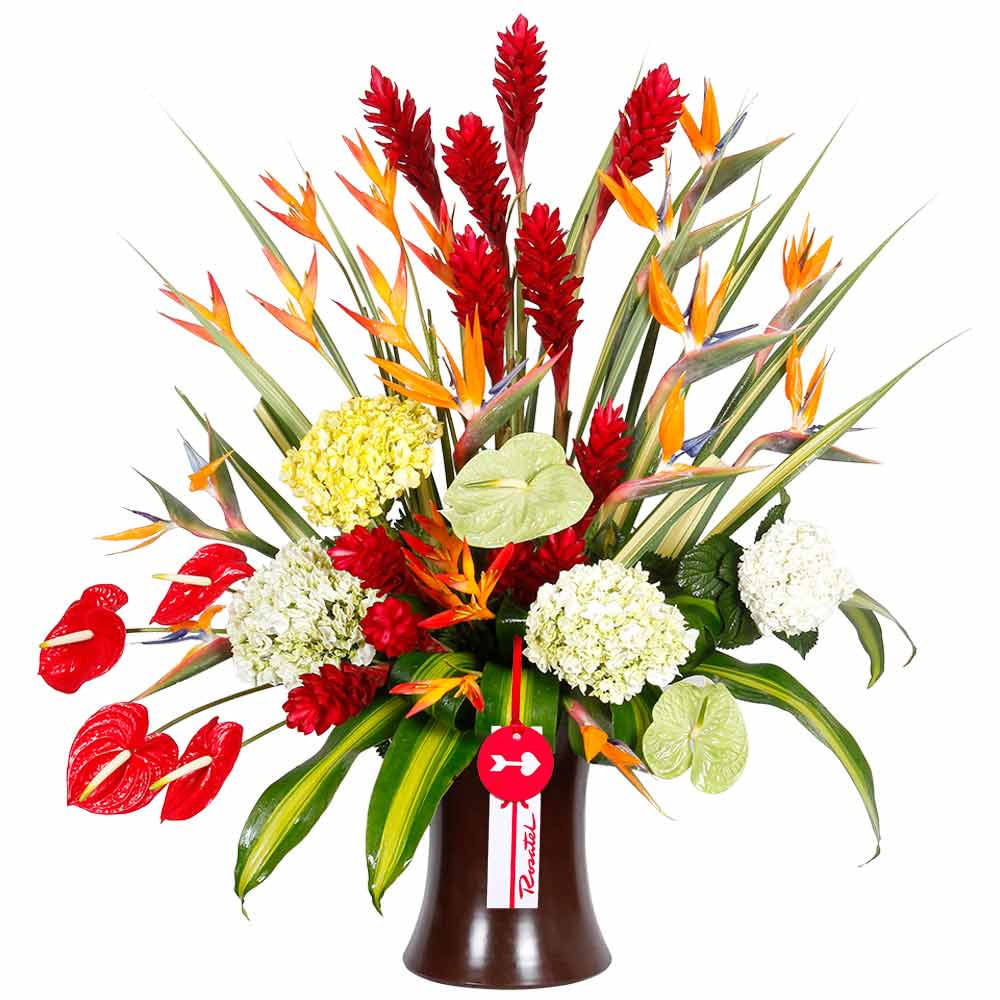 Arreglo Kero Tropical