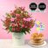 arreglo-de-flores-y-mini-torta-happy-birthday