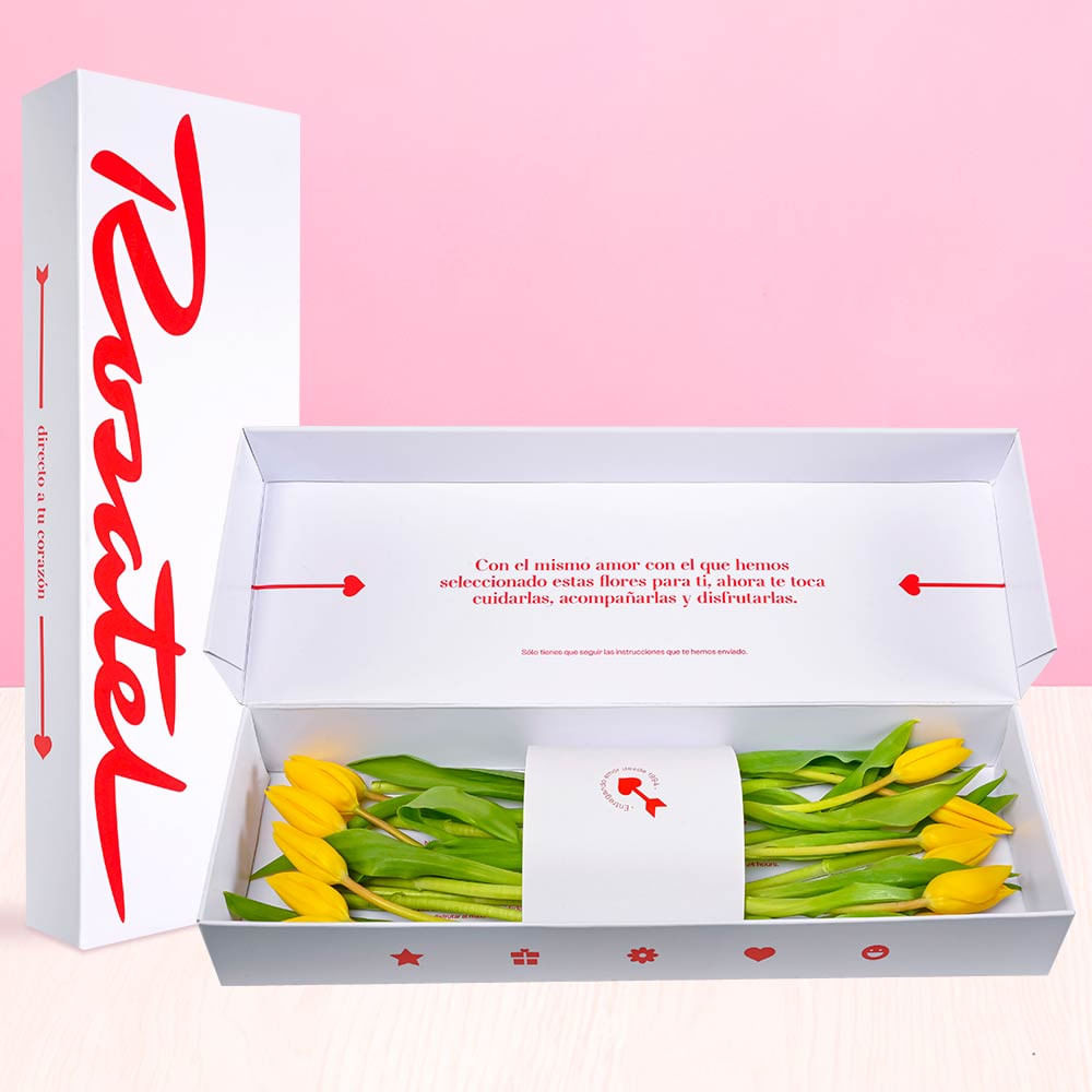 Caja Rosatel con 12 Tulipanes