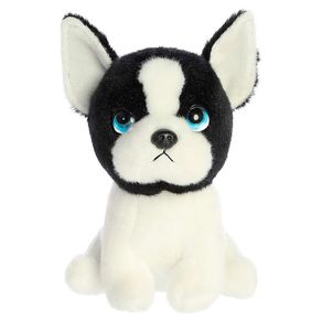 perrito-boston-harvard-terrier