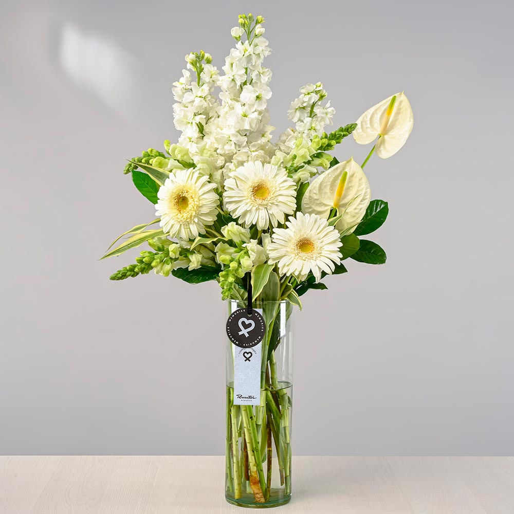 Arreglo Memorias de Amor