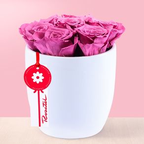 arreglo-rosas-preservadas-violeta