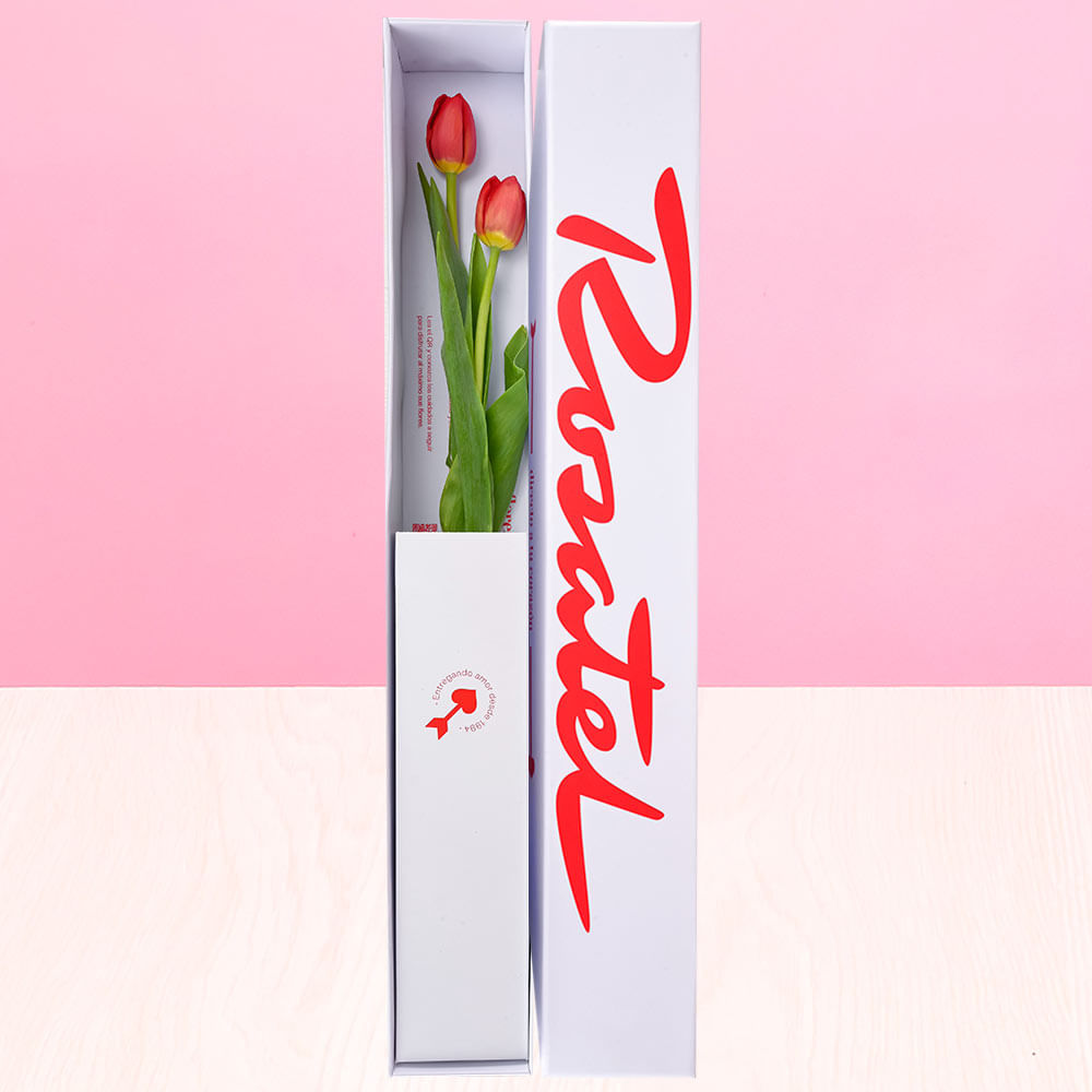 Caja Rosatel con 2 Tulipanes