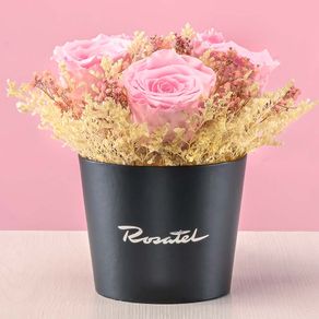 mini-arreglo-rosas-preservadas-rosadas