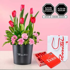 arreglo-con-tulipanes-y-chocolates-cacaosuyo