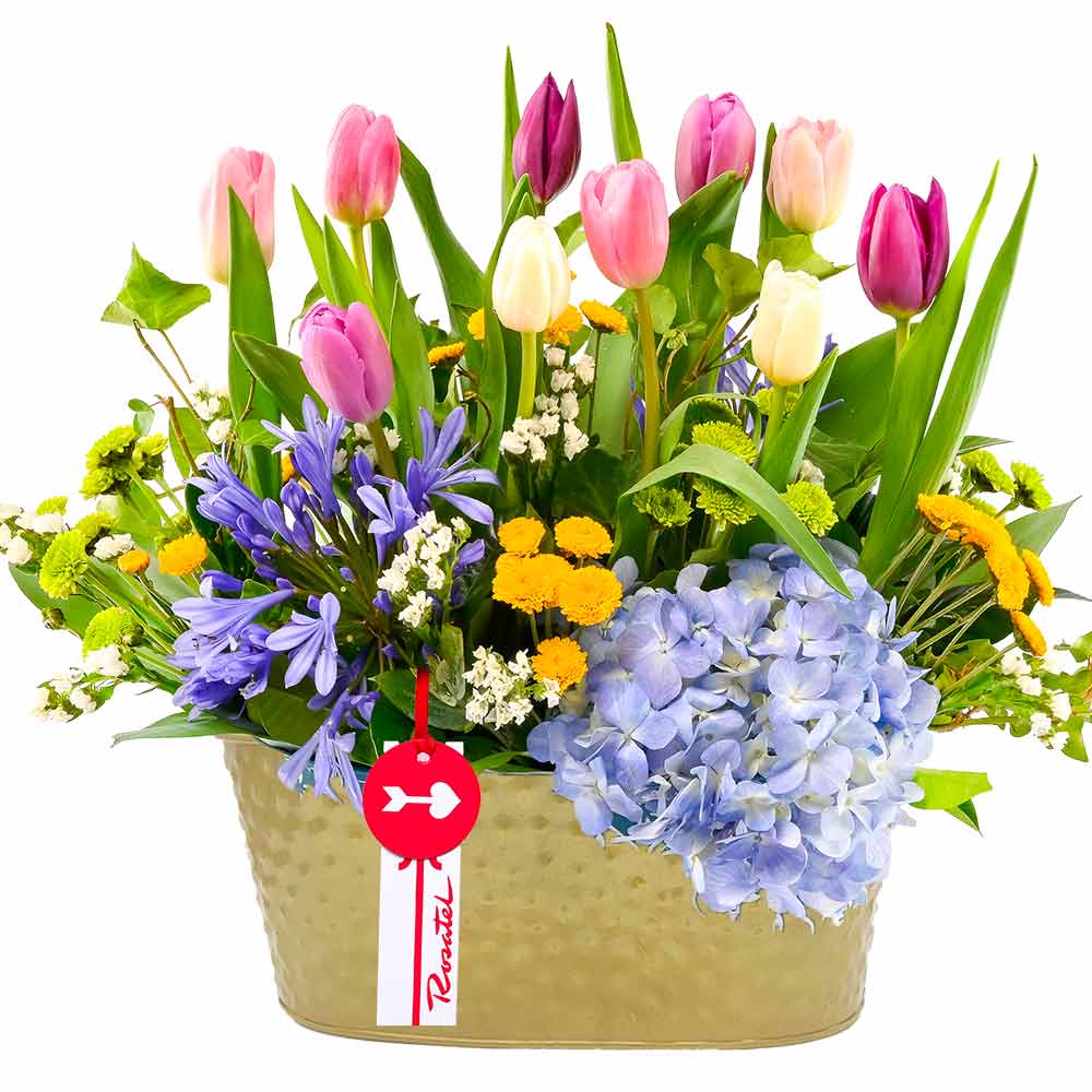 Arreglo Vintage Encanto de Tulipanes