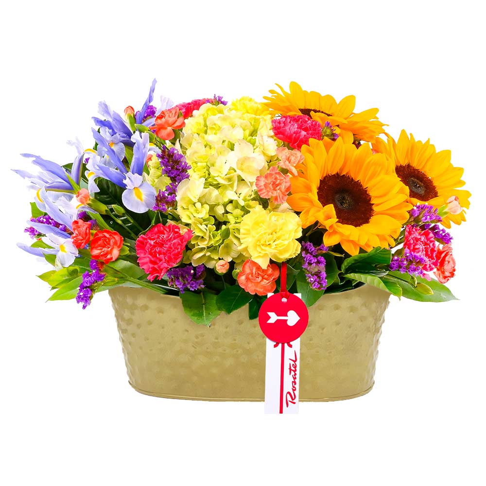 Arreglo Encanto Primaveral