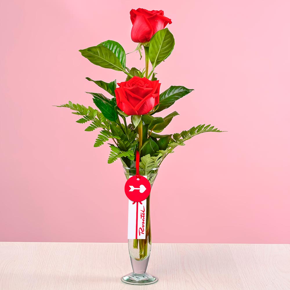 Florero Armonía 2 Rosas