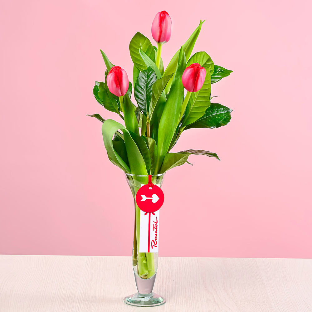 Florero Armonía 3 Tulipanes