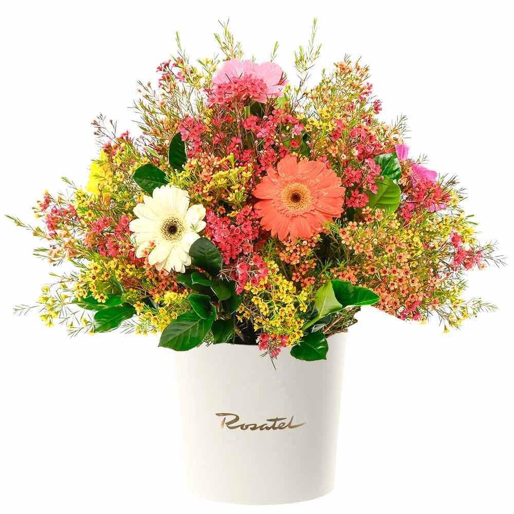 Sombrerera Crema Grande Gerberas Primaverales