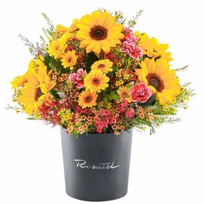 sombrerera-negra-mediana-arcoiris-de-girasoles