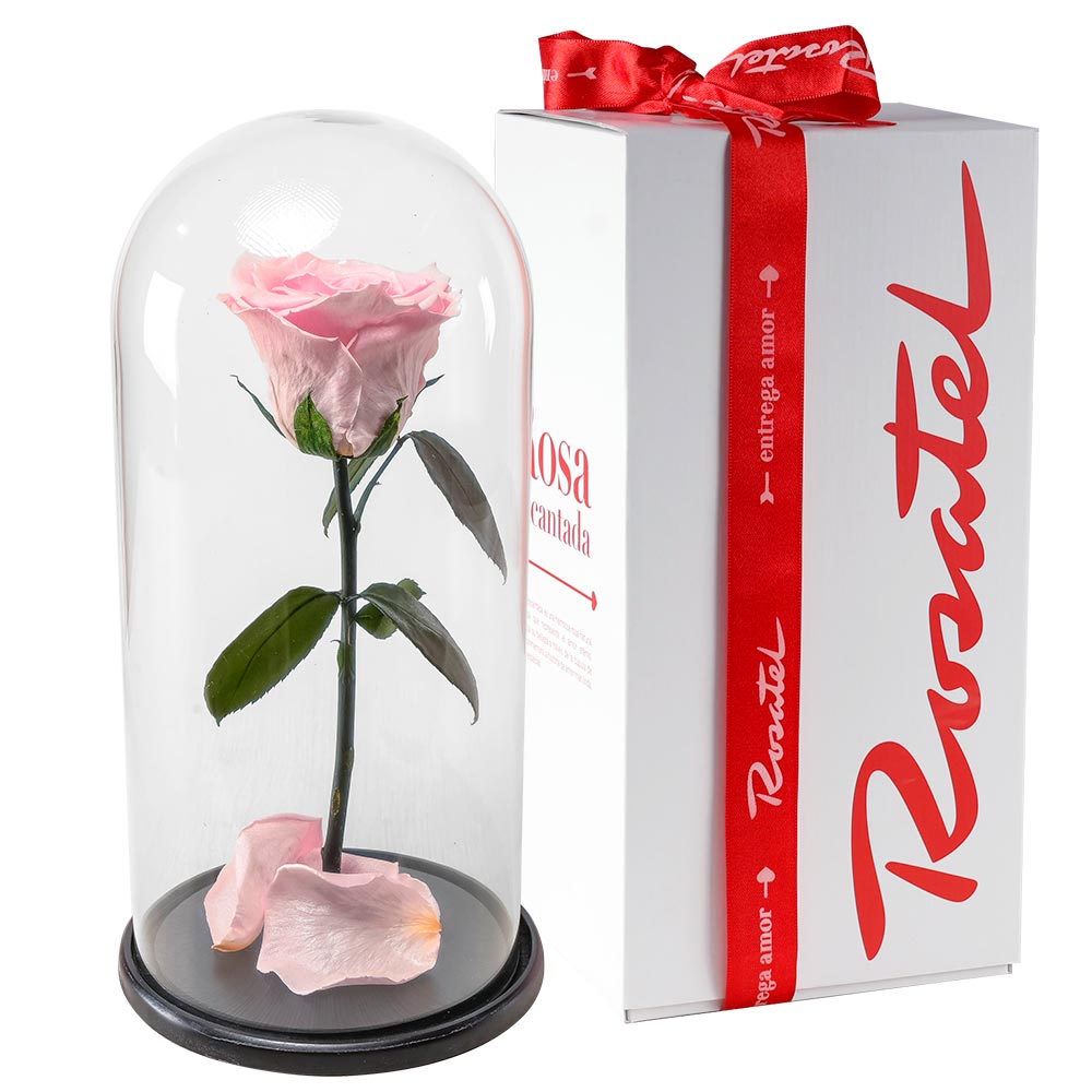 Rosa Encantada Rosada Satinada